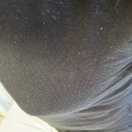 ノーブラ 胸ポチ 育乳 女体化
