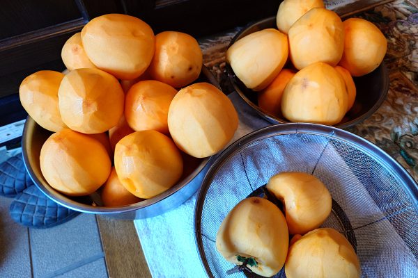 干し柿 蜂屋柿 皮剥き