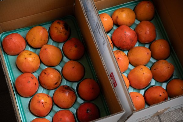 蜂屋柿 富士柿 干し柿 農家から購入