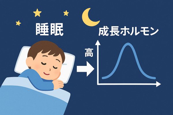 成長ホルモンと睡眠の関係