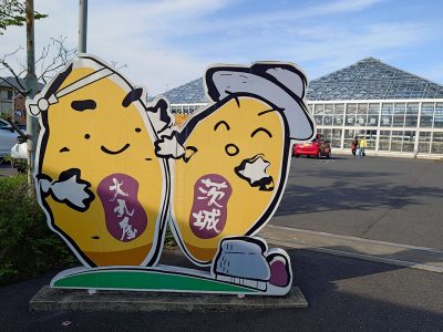 那珂湊 お土産 大丸屋 干し芋 ジェラート
