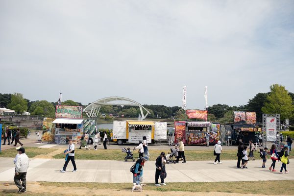 ひたち海浜公園 ネモフィラ 見頃 満開 4月中旬