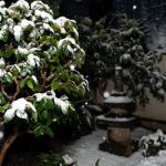 大雪 東京 8cm積雪 2024年2月5日 首都高閉鎖
