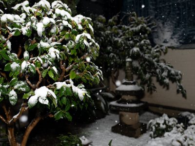 大雪 東京 8cm積雪 2024年2月5日 首都高閉鎖