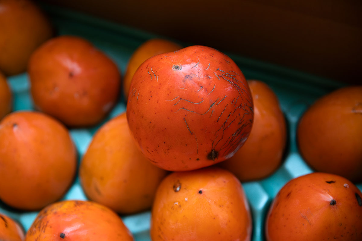 蜂屋柿 富士柿 干し柿 農家から購入