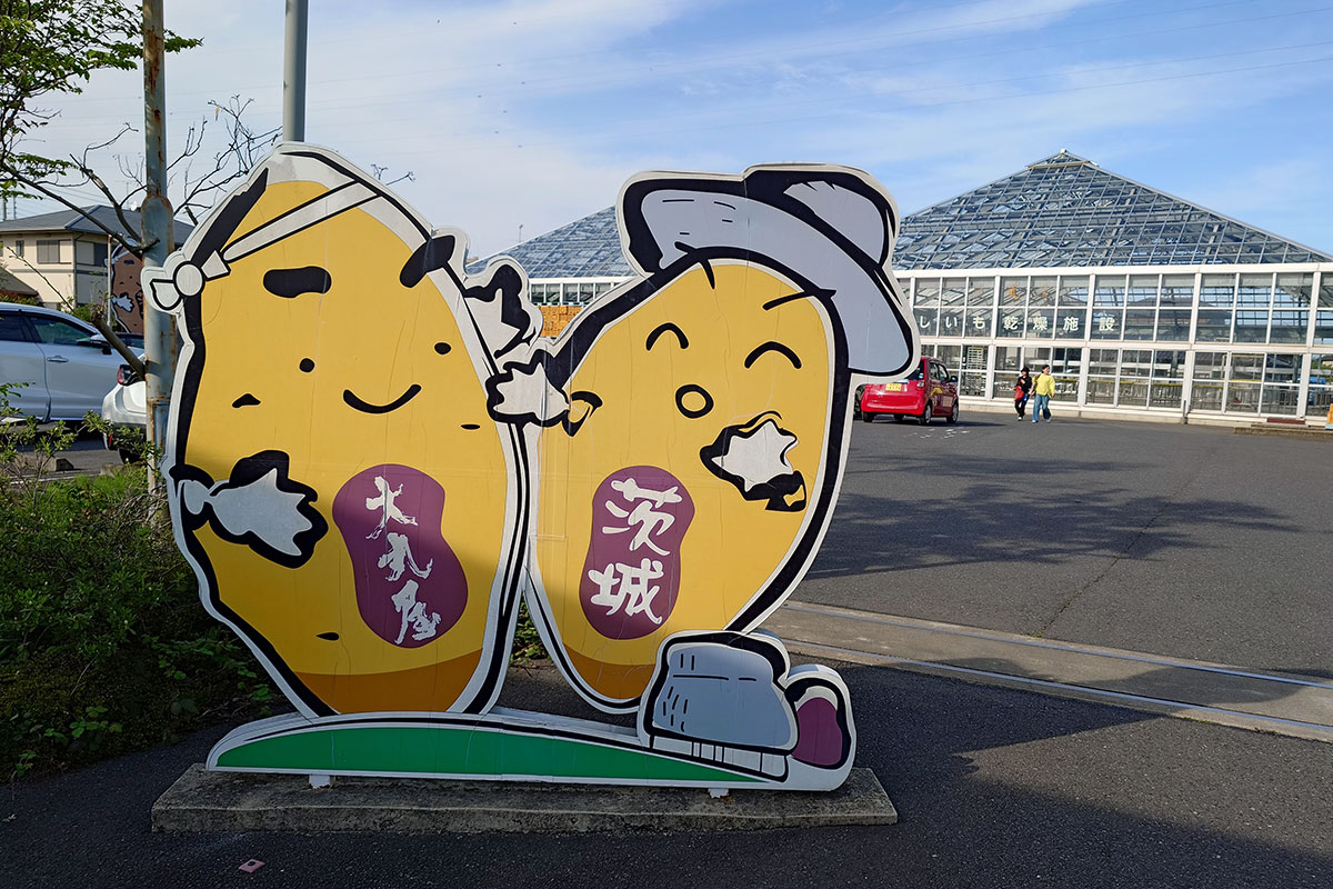那珂湊 お土産 大丸屋 干し芋 ジェラート